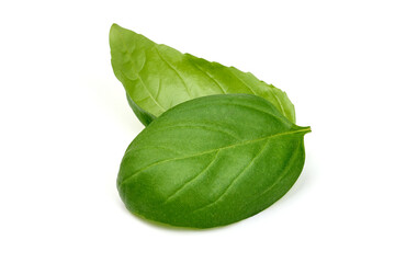 Fresh organic basil leaves, close-up, isolated on white background. High resolution image