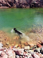 Swimming in a fresh water spring