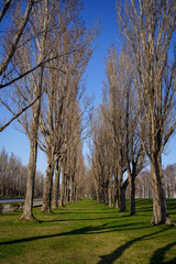 札幌前田森林公園の風景