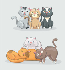 cute cats group