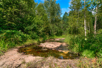 A ford across the river in the forest