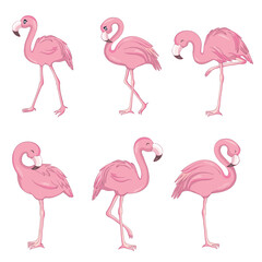 Obraz premium Vector set with four pink flamingos isolated on the white background.