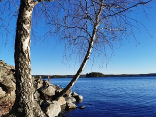 Högbergsfältet Persberg Värmland