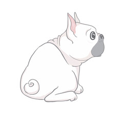 French bulldog cute sitting puppy with funny head tilt vector cartoon illustration isolated on white.