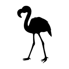 Flamingo isolated. Silhouette flamingo, decorative flat design element.