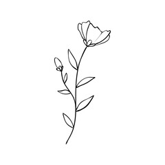 Sketch a leaf branch by hand on an isolated background.