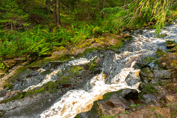 A small waterfall in the northern forest of Karelia