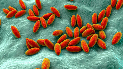 Brucella bacteria, the causative agent of brucellosis, 3D illustration