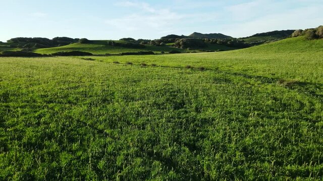 Menorca Campo