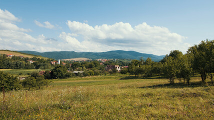 Obraz premium Beautiful autumn colors - forest