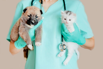 A veterinarian in a turquoise uniform examines a puppy and a kitten. A puppy and a kitten at the veterinarian. Animal clinic. Inspection of pets and vaccination. Healthcare.