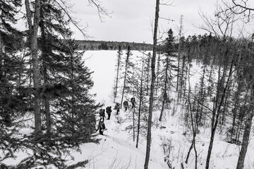 A group of back packers on snowshoes on a frozen lake in the Ottawa Valley just outside Algonquin Provincial Park  seen through typical boreal forest trees. (black and white)