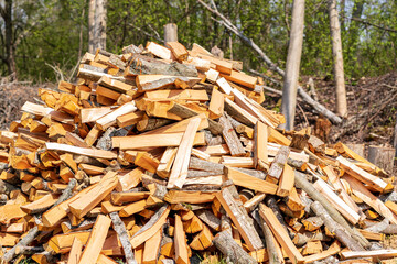 A pile of broken wood in the spring..