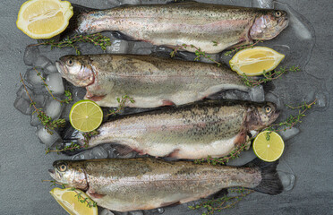 Fresh raw trout fish  with lemon and thyme on the ice.Top view.Black marble background..