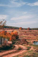 Amazing autumn colors, forest, mountains