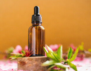 Cosmetic oil in a container with an eyedropper stands on a podium made of a cut tree.