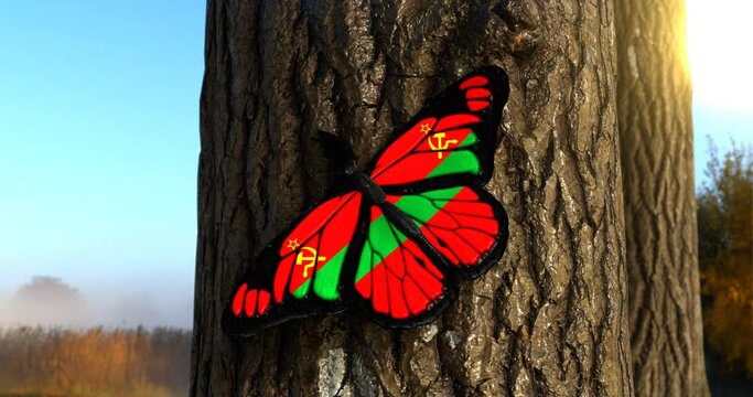 Flag of Transnistria on Butterfly Wings Realistic 4K UHD 60FPS