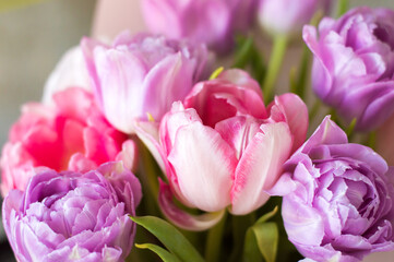 Obraz premium Beautiful bouquet of tulips. colorful tulips. nature background