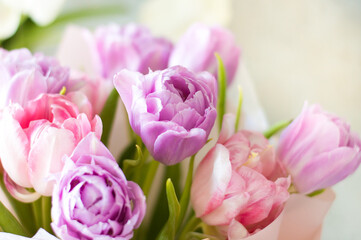 Tulips in sunbeams, of flowers in a bouquet