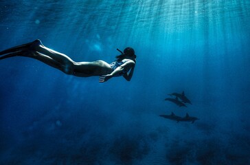 Swimming with Wild Spinner Dolphins in Hawaii 