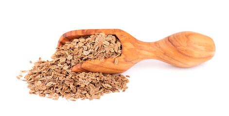 Dill seeds in wooden scoop, isolated on white background. Natural dry dill seeds. Anethum graveolens.