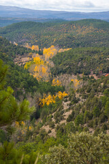 Fototapeta na wymiar Autumn in Gudar mountains Teruel Aragon Spain