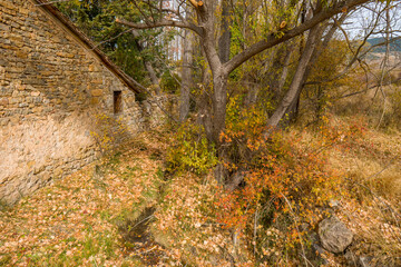 Autumn in Gudar mountains Teruel Aragon Spain
