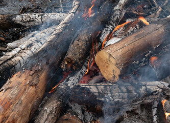 Bonfire burns in the forest