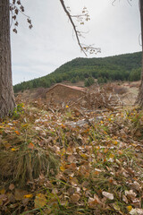 Fototapeta premium Autumn in Gudar mountains Teruel Aragon Spain