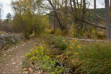 Autumn in Gudar mountains Teruel Aragon Spain