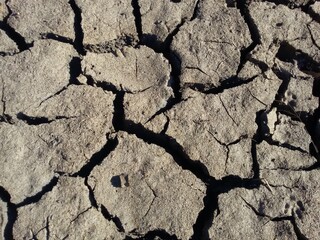 Dry dam in Botswana after a drought in summer