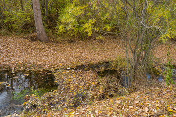 Autumn in Gudar mountains Teruel Aragon Spain