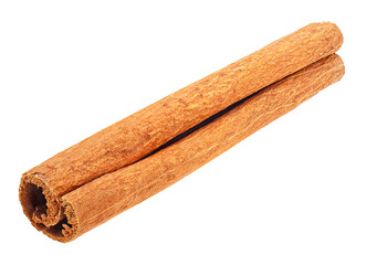 Single cinnamon stick isolated on a white background. Cinnamon bark.