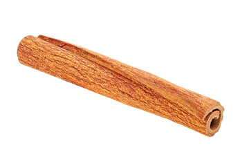 Cassia, aromatic cinnamon stick isolated on a white background.