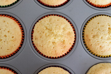 High angle view of cupcakes in a baking tin, fresh from the oven