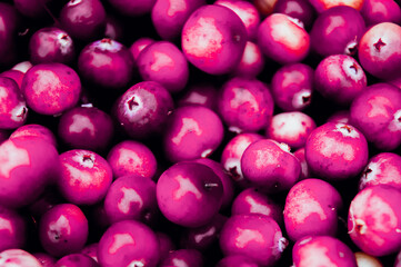 Cranberry background, berry texture. Red berry. Sour berry