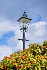 Elegant vintage street lamp and flowers under blue cloudy sky