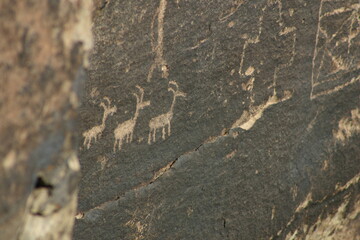 Hohokam Style Petroglyphs in the Painted Rock Mountains, in Arizona, Petroglyphs Created by Native American Carvings in Stone Showing Antelopes on a Rock