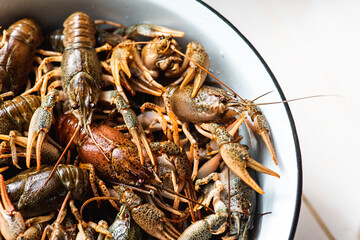 fresh raw crayfish in a bowl before cooking, close up. Healthy seafood. Selective focus