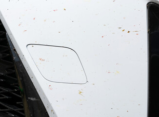 Crashed insects on white car bumper. Crush of mosquitoes and gnats at the front of the vehicle.