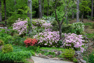  beautiful flower landscape spring blooms