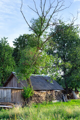 Gray old wooden house in the village