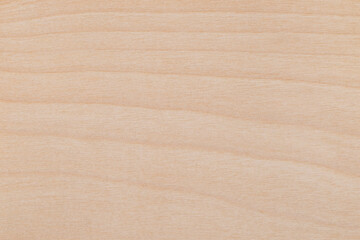 Fototapeta na wymiar Texture of Birch Wood veneer