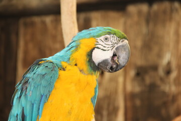 South Africa