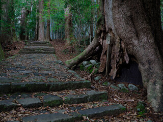 熊野古道