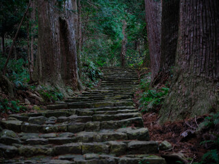 熊野古道