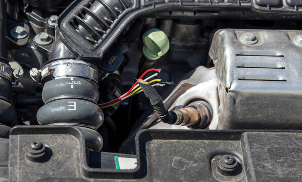 cables bitten by a marten in a car in more detail a lambda probe. gnaw marks and dirt in the engine compartment
