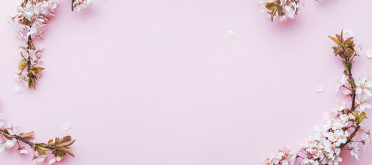 Spring background may flowers and April floral nature on pink background. Branches of blossoming apricot macro with soft focus. For easter and spring greeting cards with copy space. Springtime.