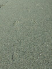 footprints in the sand