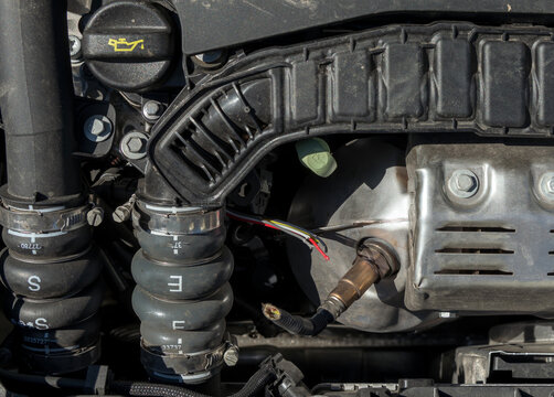 cables bitten by a marten in a car in more detail a lambda probe. gnaw marks and dirt in the engine compartment